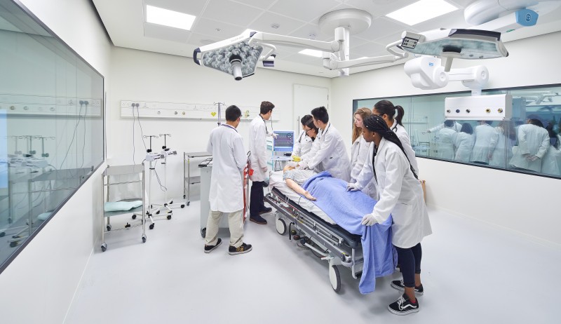 Surgical Simulation