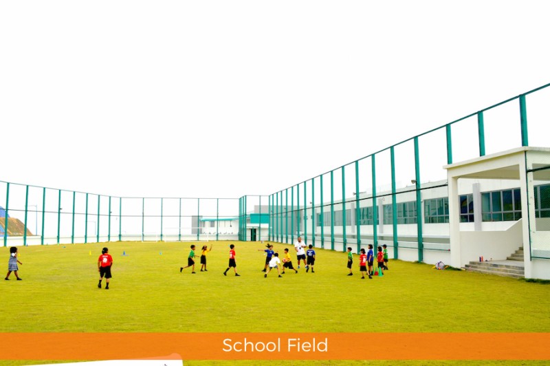School Fields
