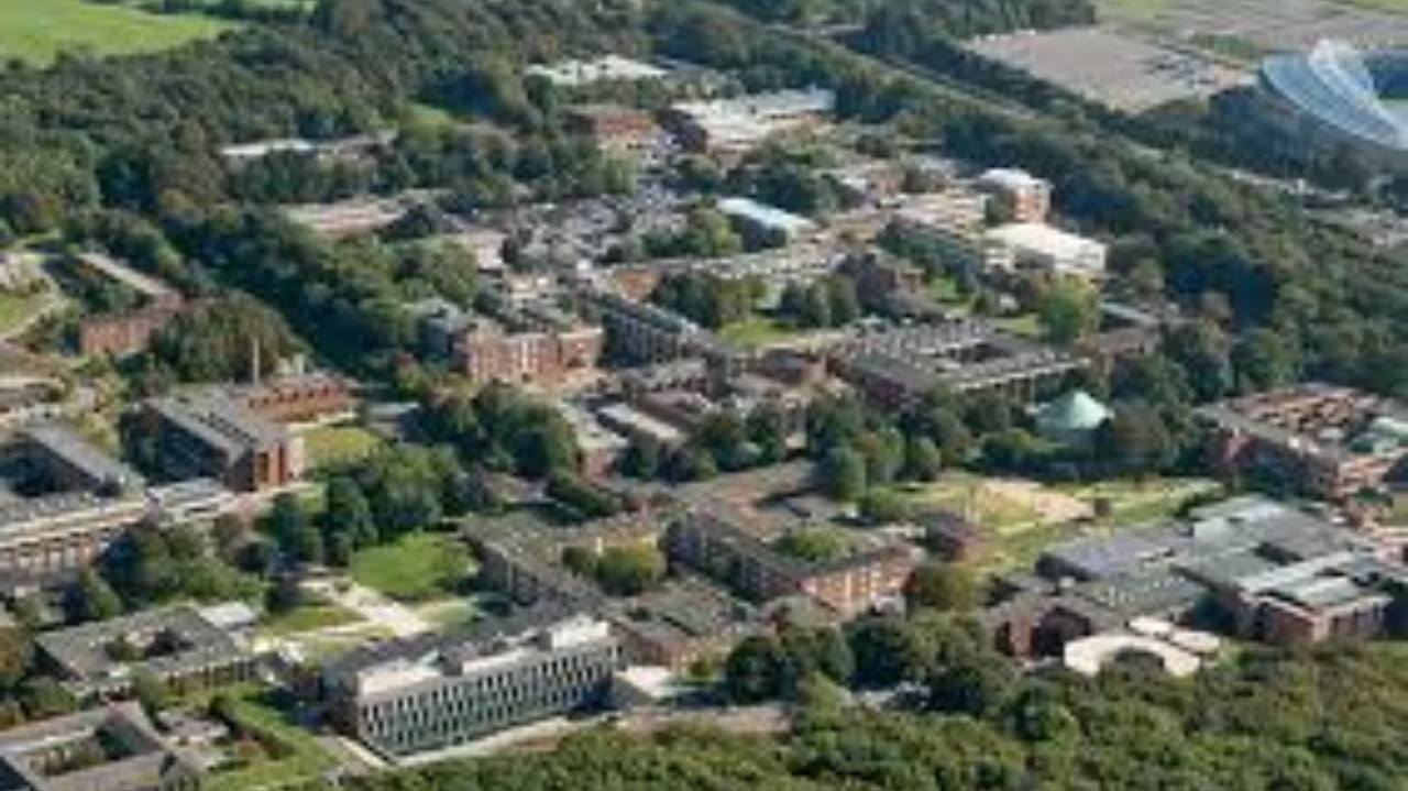 萨塞克斯大学