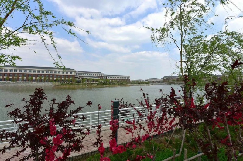 The Campus Lake