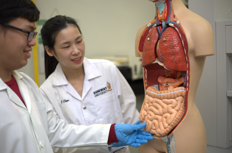 多个实验室配备了各种仪器，为学生进行实验和开展研究提供了便利条件。