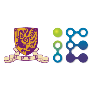 香港中文大学信息工程学系