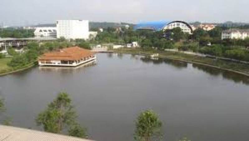 国能大学湖边景色