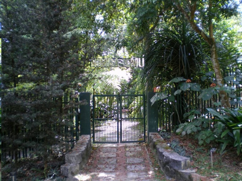 知识之林（Rimba Ilmu Botanical Garden）为马大校园内与吉隆坡市内少有的绿地之一。此热带植物园里边遍布许多马来西亚和印度尼西亚地区的植物，绝对是爱好大自然者必到之地。校外人士只需缴上五令吉即可入内参观。智慧之林也有进行研究与教育服务，甚至设有植物标本馆，凡有兴趣者可从中获得有关森林与生态研究的知识。